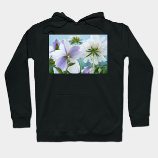 Scabiosa  Vanilla Scoop and  Anemone  Wild Swan Scabious  and  Windflower Hoodie